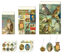 Load image into Gallery viewer, Vintage Owls Petite Parcel Set
